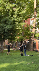 Afternoon park event in Yerevan with vendors, games, and dogs