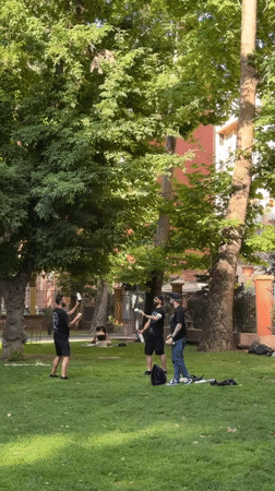 Afternoon park event in Yerevan with vendors, games, and dogs