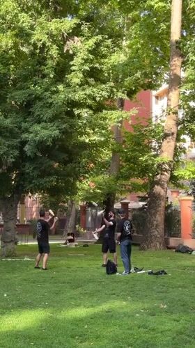 Afternoon park event in Yerevan with vendors, games, and dogs
