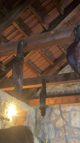 Several cured hams, likely prosciutto, hang from wooden beams in a rustic indoor setting. The hams are dark brown and appear to be aged. The ceiling above the beams is constructed with terracotta roof tiles, visible through the gaps in the wooden structure. The walls below are made of rough-hewn stone. A light fixture is visible on the bottom left, casting a warm glow. A person's head and shoulder are partially visible in the bottom left corner. A metal pipe or rod runs vertically along the stone wall. A female voice speaking Russian can be heard, stating, "This is already a finished old prosciutto. This is, well, so to speak, a demonstration room." The scene depicts a traditional display or curing room for hams, likely in Kopito, Montenegro.