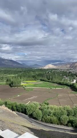 This is a vertical, landscape video showing a rural scene with mountains in the distance under a cloudy sky. In the foreground, there is a winding road with sparse green trees lining its edge. Beyond the road, there are fields with some cultivated areas and patches of yellow flowers. A dense forest of tall, thin green trees stretches across the middle ground, separating the fields from a village. The village consists of low-rise buildings and appears nestled within the trees. The background is dominated by rugged, barren mountains with some clouds clinging to their peaks. The overall impression is one of a fertile valley surrounded by arid mountains. There are no people or animals visible in the video. The lighting suggests it is daytime, possibly late afternoon, with diffused sunlight filtering through the clouds.