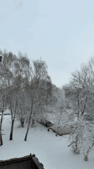 Woman takes selfies in snowy Naberezhnye Chelny with cat
