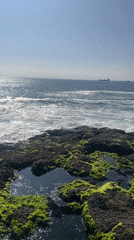 Man stands arms outstretched on rocky Arica coastline