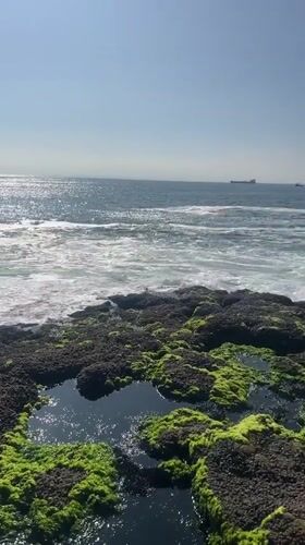 Man stands arms outstretched on rocky Arica coastline