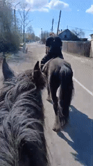 Horseback riders near decorated war memorial on May 9th