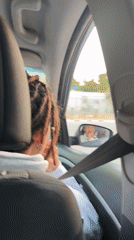 Car passengers recorded during daytime drive in Mitzpe Ramon
