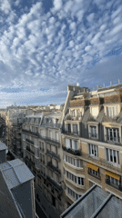 Rooftop views across classic Haussmannian Paris