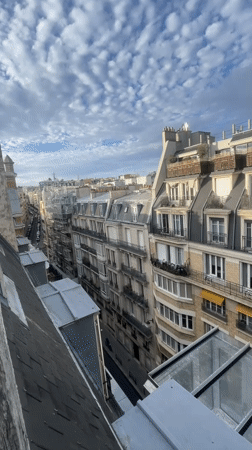Rooftop views across classic Haussmannian Paris