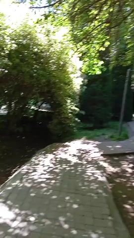The video shows a quick pan across a park-like area. The ground is covered with a mix of paving stones and wooden planks, dappled with sunlight filtering through the dense green canopy of trees above. The camera moves past structures with brown wooden siding and dark roofs. The area also contains greenery, including bushes, small trees, and ground cover.