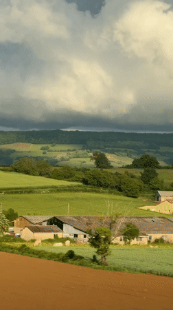 Rural landscape documented in Massilly, France countryside