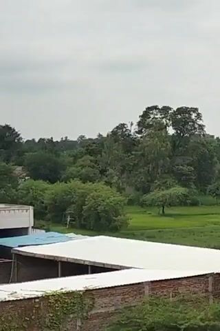 The video shows an outdoor scene with a cloudy sky. In the foreground, there is a brick wall and a white roofed structure. Behind these structures is a green field with trees scattered throughout. Some of the trees are tall and leafy, while others are smaller and more sparse. The field appears to be a rural area, possibly farmland. In the distance, there are more trees and some buildings. The lighting suggests it is daytime.