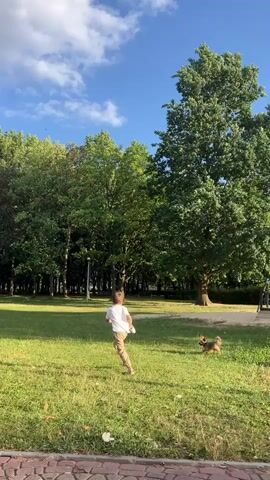 A young boy in a white t-shirt and tan shorts runs across a grassy field, holding a leash attached to a dog that is running ahead of him. A young girl in a white t-shirt and pink pants runs towards the boy and dog from the left side of the frame. The scene is a park with lush green trees and a blue sky with white clouds. The ground in the foreground is a paved walkway with cobblestone accents.