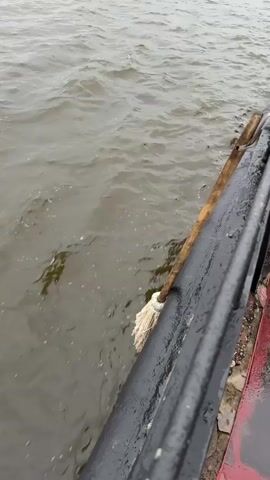A mop is attached to the side of a boat with its strings dangling in the murky water. The boat is moving, causing ripples and small waves in the water. The sky appears overcast.