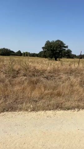 A static, full shot of a dry, grassy field under a clear blue sky. In the foreground, a dirt road is visible. The field is mostly filled with dried, yellow grass and scattered green weeds. A few trees are visible in the middle ground and background, along with a fence line on the right side of the frame. A large, dark log lies on its side in the middle of the field. The sun is shining brightly, casting shadows across the terrain.