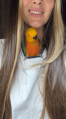 Woman poses with colorful parrot in Khimki apartment