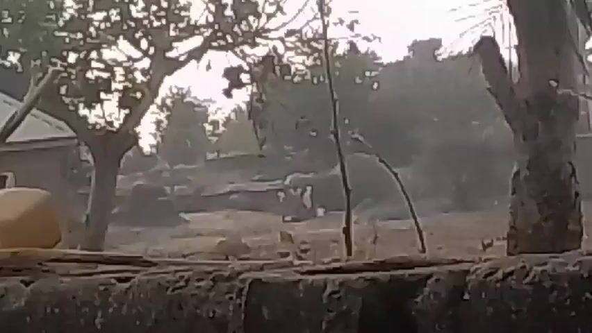 The video, shot at a distance and obscured by foreground elements, shows an elephant in a clearing.  The scene is framed by trees and a stone wall. A building is visible to the left. The visibility is somewhat reduced by haze or mist. The lighting appears to be early morning or late afternoon.