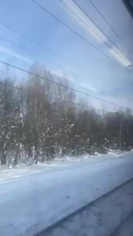 The video shows a view from the window of a moving train, overlooking a snow-covered landscape. The ground is entirely covered in snow, and bare trees line the edge of the train tracks. The sky is visible through the train window, with a clear blue color. Electrical wires run parallel to the train tracks, visible against the sky. The camera remains steady, capturing the landscape as it passes by.