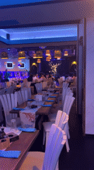 Bar patron, aquarium life, event space captured in brief sequence