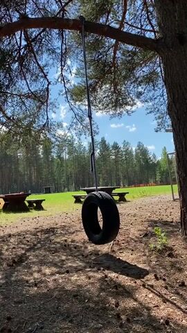 A tire swing hangs from a tree branch in a park. The tire is black and appears to be made of rubber. The swing is suspended by a rope, which is attached to the branch. The park is green and grassy, with trees in the background. There are picnic tables scattered around the park. The sky is blue with some white clouds.