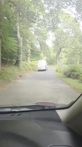The video shows a view from inside a vehicle, looking out at a paved road. A white van is driving away from the camera down the road. The road is lined with trees and foliage, suggesting a rural or wooded environment. The weather appears overcast or hazy.