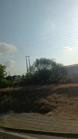 The video captures a view from a moving vehicle, likely a train, looking out a window. The scene depicts a rural or semi-rural landscape under a bright, clear sky with scattered clouds. In the foreground, the window frame is visible, and a streak of light, possibly a lens flare, passes across the view.

The landscape features a dirt embankment or slope, with sparse vegetation and dry grass. Several trees of varying sizes and densities are scattered across the scene, with the foliage appearing green and full. In the distance, there are signs of infrastructure, including power lines supported by poles and a tall electricity pylon. A building with a light-colored facade and some blue graffiti is also visible on the right side. The overall impression is of a journey through an open, somewhat arid environment bathed in sunlight. The motion suggests the viewer is in transit, observing the passing scenery.