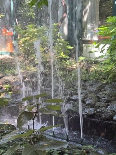 Ornamental waterfall and fountain in a Budva garden