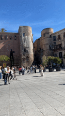 Sunny afternoon documented in Barcelona's historic public square