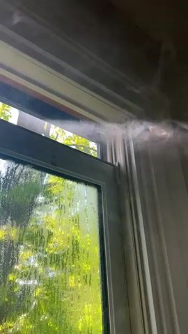 A stream of white smoke is visible entering an indoor space through the top of a slightly open window. The smoke appears to be coming from outside and drifts horizontally into the room before swirling and dissipating. The window pane is partially obscured by moisture, suggesting condensation or recent rain. Outside the window, bright green foliage and trees are visible under natural daylight, indicating a daytime setting. The window frame is painted white and appears to be made of wood. No people or text are visible in the video.