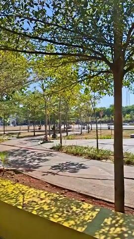 The video shows a park with trees and benches. The sun is shining, and there are shadows on the ground. The camera pans to the left, revealing a path and more trees. A red trash can is visible on the left side of the frame. The park appears to be clean and well-maintained, with a playground in the background.