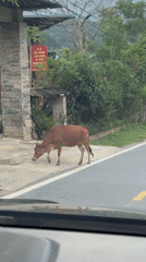 Travelers document scenic mountain road trip through Tú Lệ Vietnam