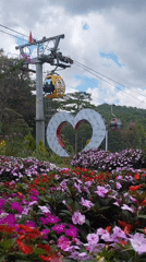 Tourist plays on decorative bicycle at Da Lat garden attraction
