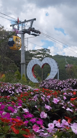 Tourist plays on decorative bicycle at Da Lat garden attraction