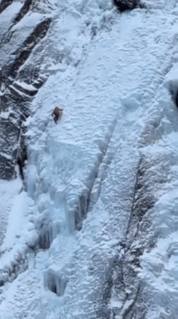 Ice climbers scale frozen waterfall in Myrland, Norway