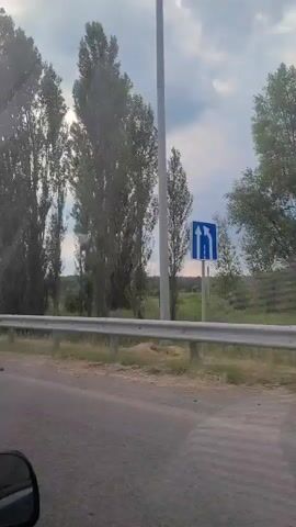 The video shows a roadside view from a moving vehicle. The scene is characterized by a paved road in the foreground with a white metal guardrail separating it from a grassy field. Tall, slender trees line the field, interspersed with smaller vegetation and a few buildings. The sky is partly cloudy with sunlight breaking through, suggesting either early morning or late afternoon. The weather appears to be mild.

In the background, several buildings are visible, including a red-brick house with a green roof and a smaller green-roofed structure. There are also some signs visible. One sign is a blue parking sign with a "P" and a symbol of a person, indicating a parking area, with the text "400m" below it, signifying a distance. Another sign, partially obscured, seems to be a directional sign. The overall impression is of a rural or semi-rural setting in Ukraine, likely along a highway. The activity is travel, as evidenced by the viewpoint from a vehicle and the passing scenery. There are no people or animals directly visible in the frame, and the emotions conveyed are neutral, focusing on the landscape.