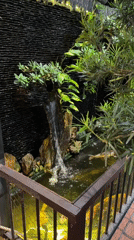 Lit-up garden and koi pond at a Phú Quốc venue after dark