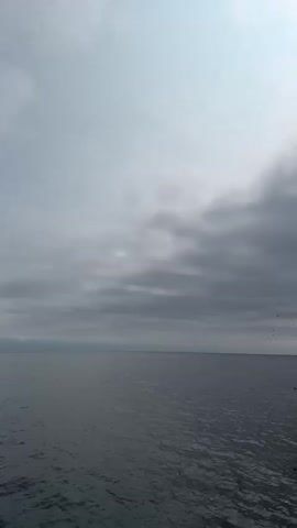 The video shows a view from a boat moving along the coast of a large, dark, rocky cliff. The sky is overcast with gray clouds. Birds are seen flying in the sky and perched on the cliff face. The water is dark and choppy, reflecting the overcast sky. The cliff is sheer and appears to be covered in patches of green vegetation. There are small white specks on the cliff face that are likely bird nests or guano. The camera pans slightly to the right, following the coastline.