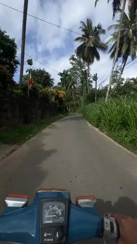 The video shows a first-person perspective of riding a blue Honda moped on a narrow paved road. The road is lined with dense green vegetation, including tall grasses, bushes, and various trees, notably palm trees. A stone wall is visible on the left side of the road at the beginning. The sky is partly cloudy. The moped's dashboard and handlebars are visible, showing a speedometer and fuel gauge. The moped is moving forward on the road.