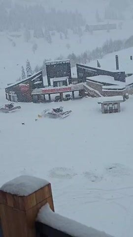 The video shows a snowy scene with a building in the background that has a sign reading "Cadena Sur Terrace". Two snow groomers are parked in the snow-covered area in front of the building. A dog runs around near the groomers. It is snowing heavily. The camera appears to be positioned from an elevated, stable viewpoint.