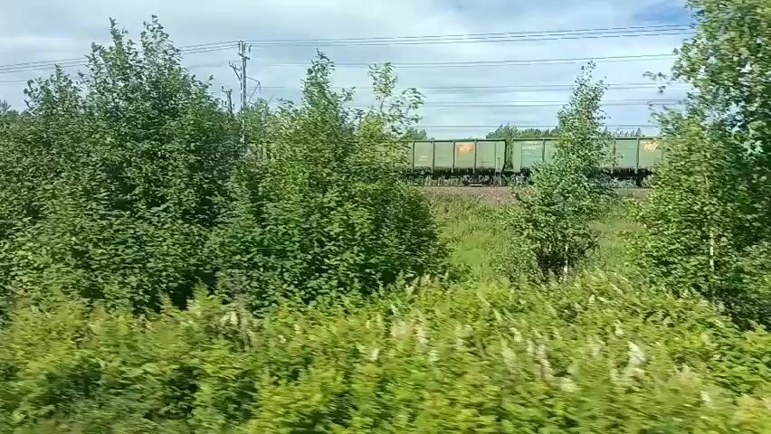 A train of freight cars moves across a lush green landscape under a cloudy sky. The train is long and consists of many cars, most of which appear to be open-top wagons. They are green and beige in color. The train tracks run parallel to a line of trees in the distance. The foreground is filled with dense green foliage, suggesting the view is from a moving vehicle. The sky is mostly cloudy, with patches of blue peeking through. The overall impression is of a rural, natural setting.