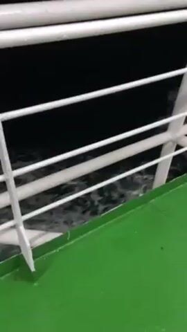 The video shows the side of a boat moving at night. The camera is looking at the water passing by, with the white railing and green deck of the boat visible. The water is dark and choppy, with white foam. In the distance, lights are visible on the horizon.