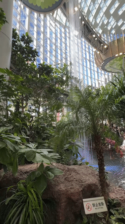 Inside Liangjiang's sprawling botanical mall on a summer morning