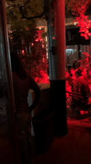 Evening social scene unfolds at dimly-lit Tel Aviv bar