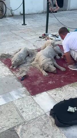 A man in a white t-shirt and shorts is kneeling on a red cloth on a paved area, working on a sand sculpture of dogs. One sculpture is a larger dog lying down, with two smaller dogs on its back. Another smaller dog sculpture lies to the left. Tools are scattered on the sand around the sculptures, including what appears to be a small brush and some scissors. A black bag sits on the ground to the right of the red cloth, with money and coins on it. In the background, a man is sitting on the ground, facing away from the camera, with a bicycle to his left. The area appears to be outdoors, with a white building and a chain-link fence visible behind the seated man.