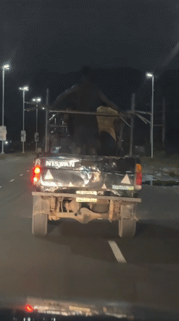 Passengers ride in modified pickup truck bed in Nigeria