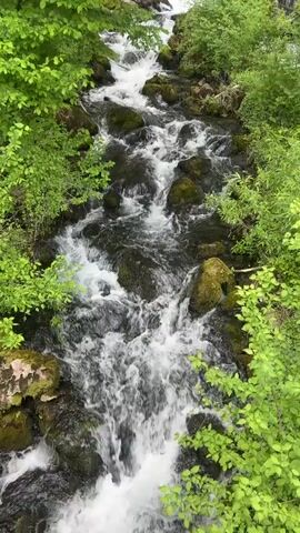 The video depicts a rushing stream flowing down a rocky slope, surrounded by lush green vegetation. The water is clear and foamy as it cascades over the rocks, creating small waterfalls. The stream is bordered by vibrant green bushes and trees on both sides.