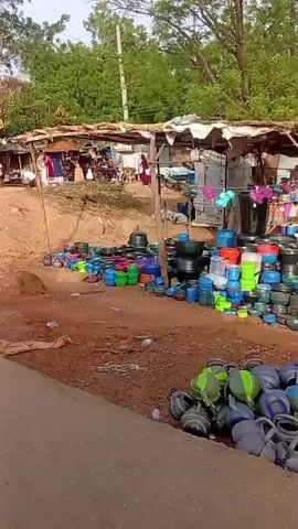 This video depicts a bustling outdoor market scene in Dutse, Nigeria. Numerous makeshift stalls, constructed from wooden poles and thatched or tarp roofs, are set up along a dirt path. The primary merchandise consists of a wide variety of plastic household items, including bowls, basins, buckets, and pots, displayed in an array of colors such as blue, green, black, grey, red, and purple. Many items are stacked high or arranged directly on the ground.

Several people are visible, mostly women dressed in hijabs of various colors (light blue, dark, purple, green), walking, standing, or sitting by the stalls. A man in a light blue shirt is also seen under one of the stalls. The activity portrays typical market commerce, with individuals browsing goods, selling, or moving through the area.

The scene is illuminated by bright daylight, suggesting late morning or early afternoon under clear, sunny skies. Large trees with green foliage are prominent in the background, and the ground is unpaved dirt, with some wooden debris scattered on the side. On a cardboard box near one stall, the text "CDQ GOLD BRAND" and "MADE IN INDIA" is partially legible. The overall atmosphere is that of a lively, informal community market.