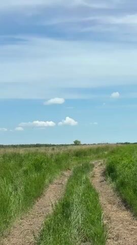 A dirt road cuts through a grassy field under a partly cloudy sky. The road is lined with green grass and appears to be two-tracked. In the distance, a solitary tree stands against the horizon. The sky is a bright blue with scattered white clouds. The overall scene depicts a rural or natural landscape on a clear day.
