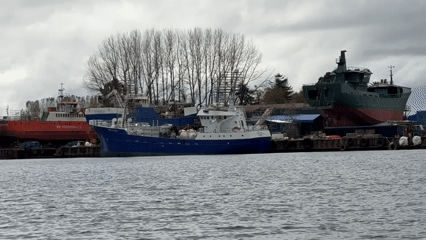 Evening harbor scene captured in Valdivia, Chile