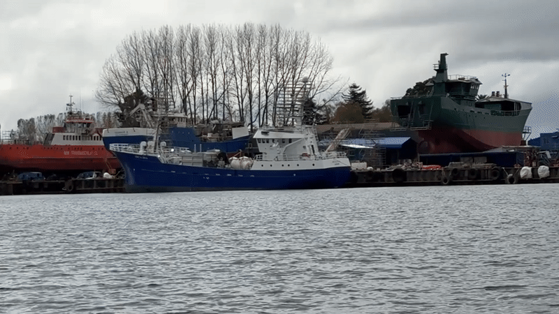Evening harbor scene captured in Valdivia, Chile