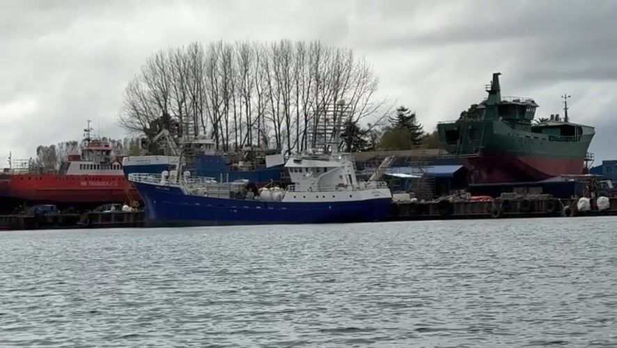 Evening harbor scene captured in Valdivia, Chile